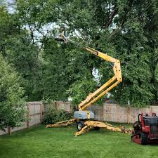 Grass Overseeding in Breckenridge, TX